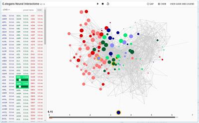 Neural Interactome: Interactive Simulation of a Neuronal System